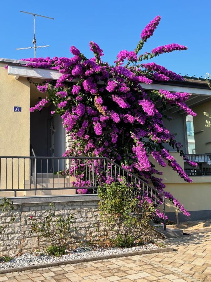 Apartamento App Forza Umag Exterior foto
